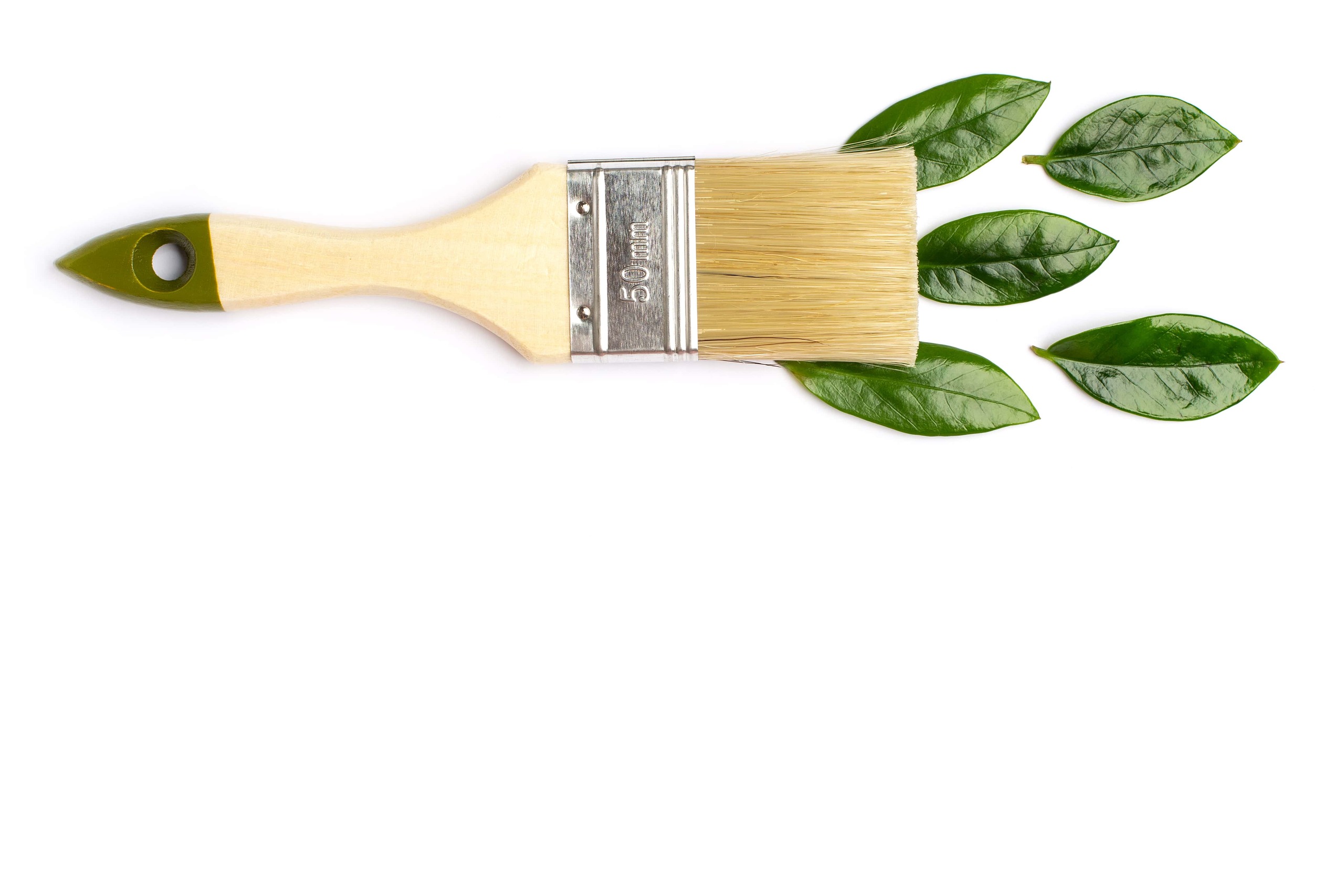 Picture of Eco-Friendly Paint: A Simple Choice For A Healthier Home And Planet - JACK'S HOUSE